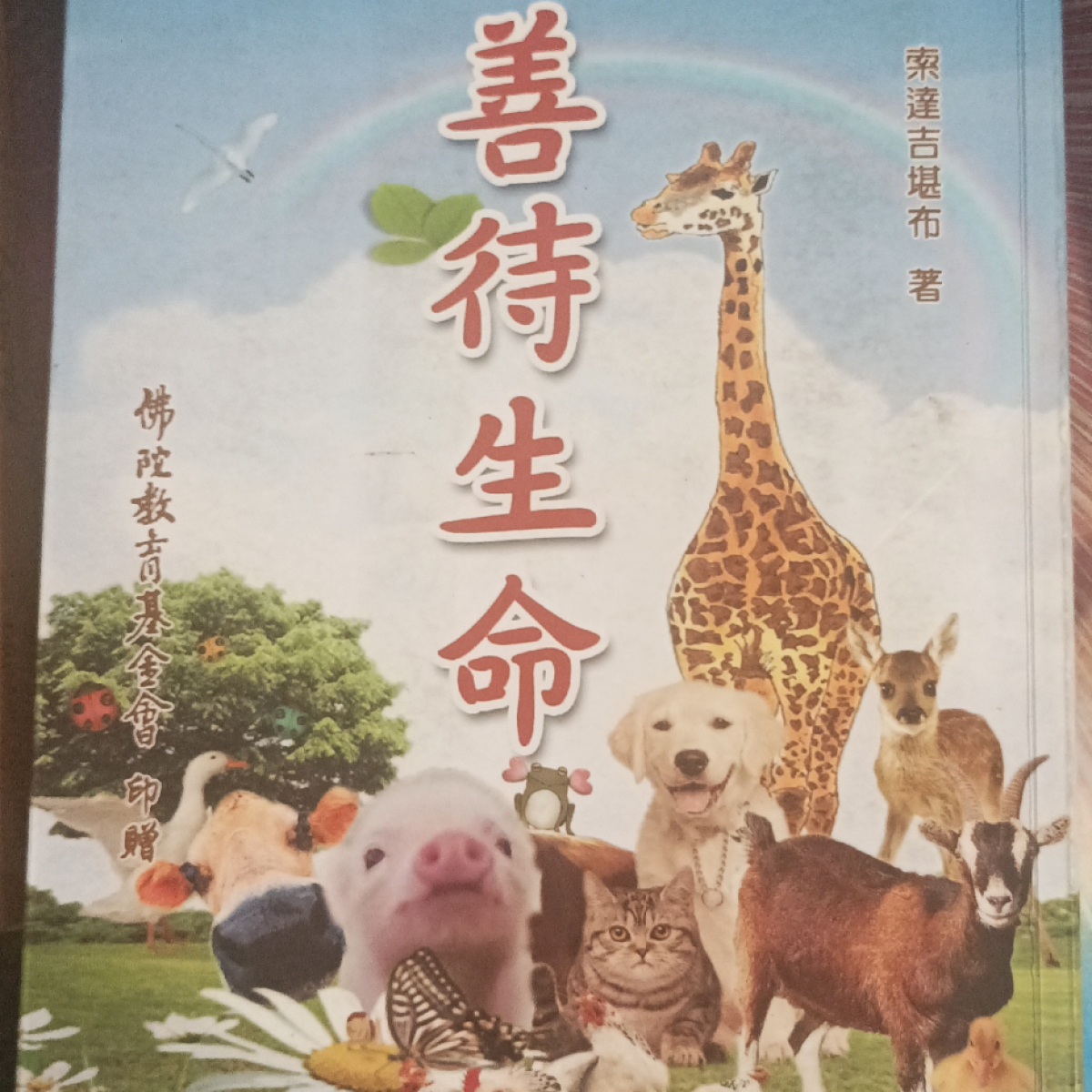 可以捐東西的好地方