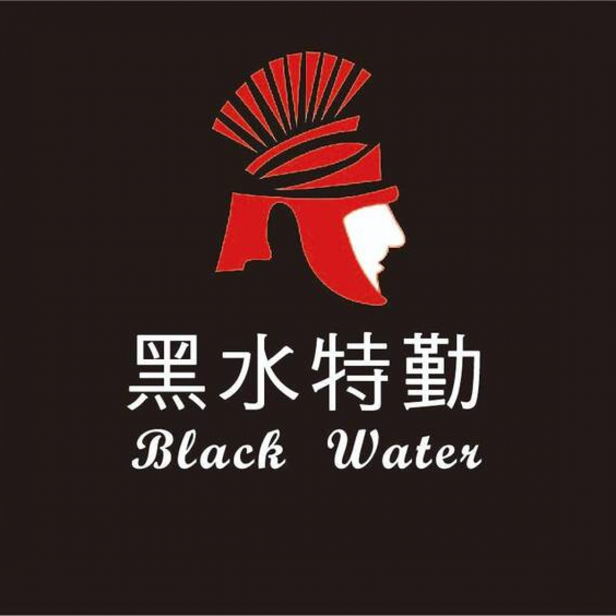 中和物業保全公司推薦-中和豪宅物管、飯店式管理、特勤保全｜克莉絲汀國際物業&皇家遊騎兵保全